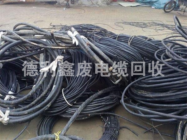 ������|���ա��U��|���ա��������������|